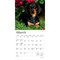 Dachshunds | 2026 7 x 14 Inch (Hanging) Monthly Mini Wall Calendar